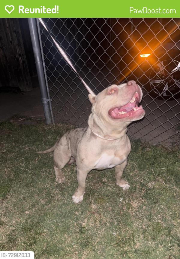 Reunited Male Dog last seen West Sacramento , West Sacramento, CA 95605