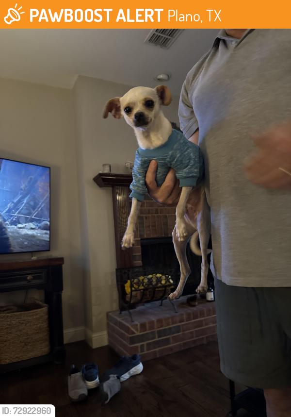 Found/Stray Unknown Dog last seen Oakland Hils Drive, Plano, TX 75025