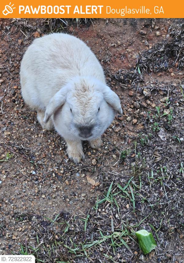 Found/Stray Unknown Rabbit last seen Near W County Line Rd, Douglasville, GA 30135