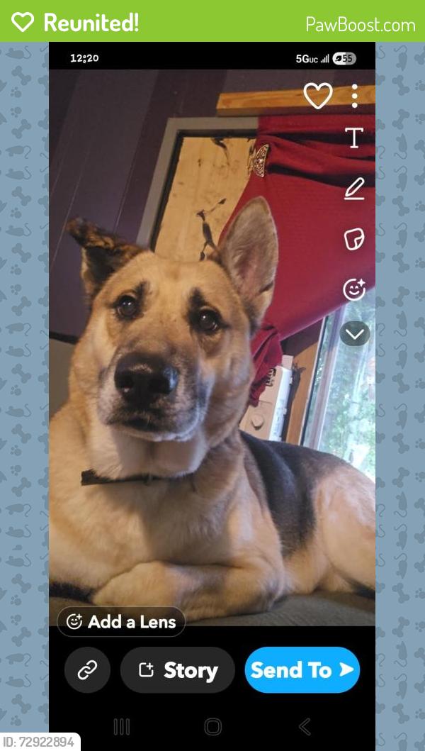 Reunited Male Dog last seen Near Triple Crown Dr, Richmond, TX 77406, USA, Richmond, TX 77406