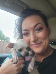 Reunited Male Dog last seen Independence and hagen, Plano, TX 75025