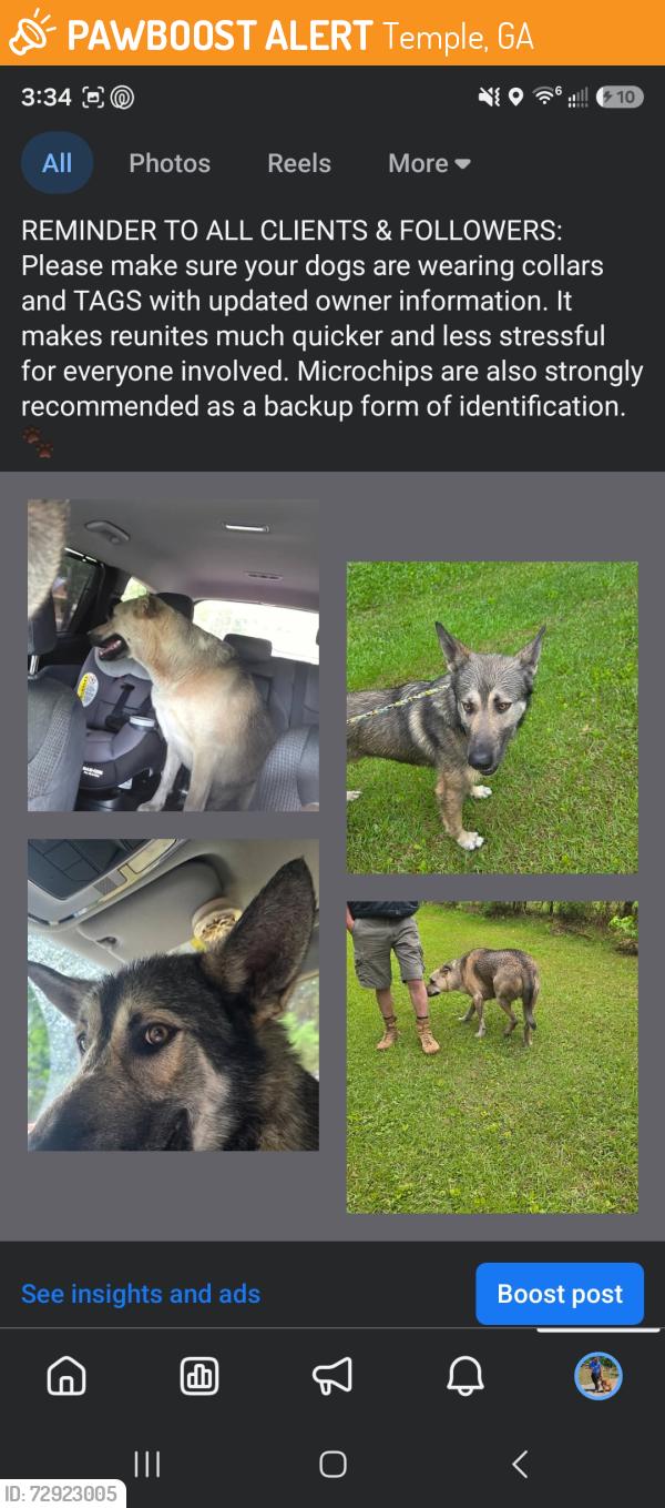 Found/Stray Male Dog last seen Liberty church rd, Temple, GA 30179