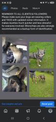 Found/Stray Male Dog last seen Liberty church rd, Temple, GA 30179