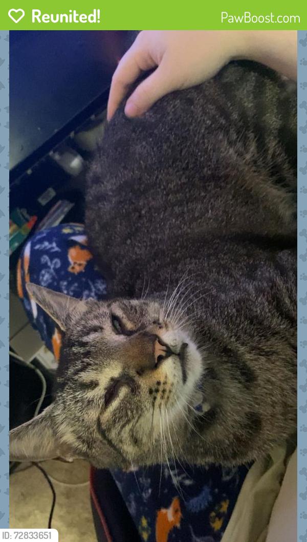 Reunited Male Cat last seen Camper home, Ocean Isle Beach, NC 28469