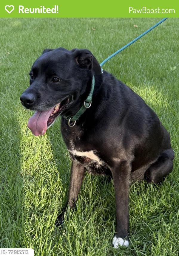 Reunited Male Dog last seen Oak Bend and Rapp Rd. Keller, Keller, TX 76248