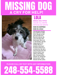 Reunited Female Dog last seen Warner & Garrick , Warren, MI 48091