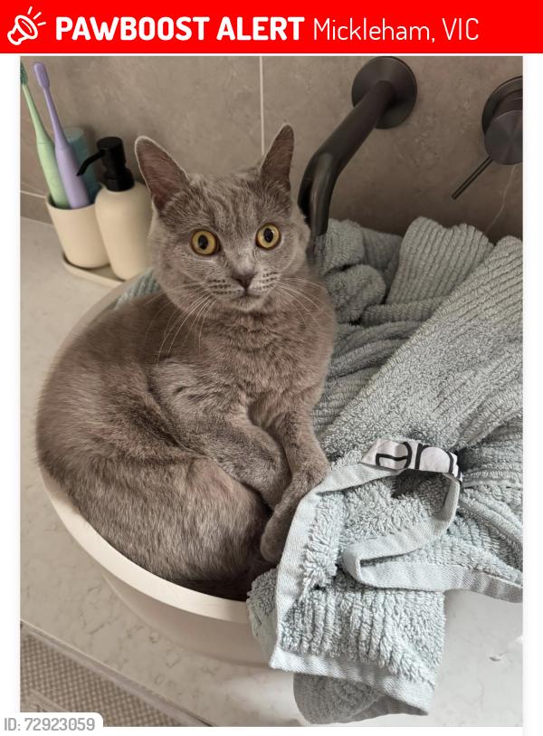 Lost Female Cat last seen Tangelo street, Mickleham, VIC 3064