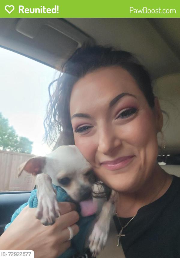Reunited Male Dog last seen Independence and hagen, Plano, TX 75025