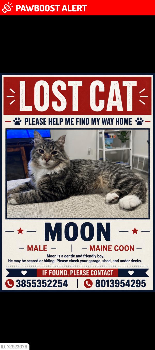 Lost Male Cat last seen N June Street (running north-south) and N August Drive (running north-south)., Saratoga Springs, UT 84043