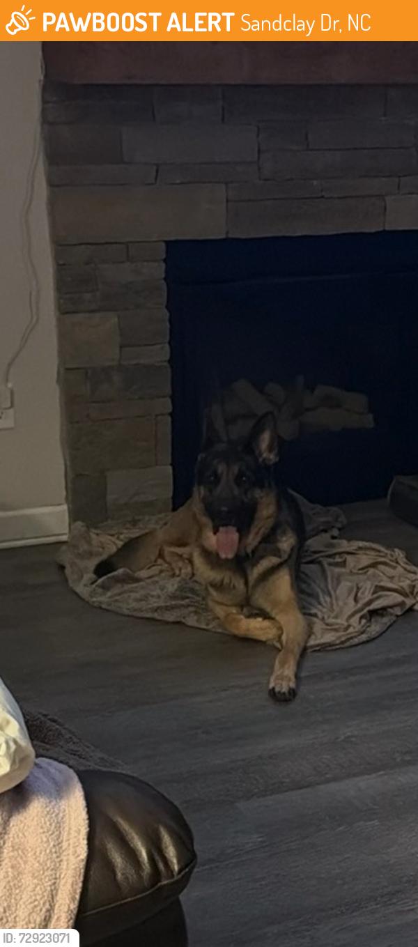 Found/Stray Male Dog last seen Off Hwy 210 spring lake near Ray rd intersection , Sandclay Dr, NC 28390