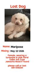Reunited Female Dog last seen Jamacha rd & cardiff, San Diego, CA 92114