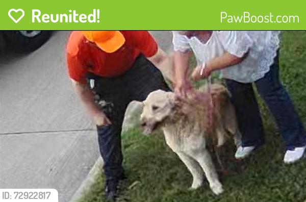 Reunited Male Dog last seen Near Pebblecreek Dr, Garland, TX 75040, USA, Garland, TX 75040