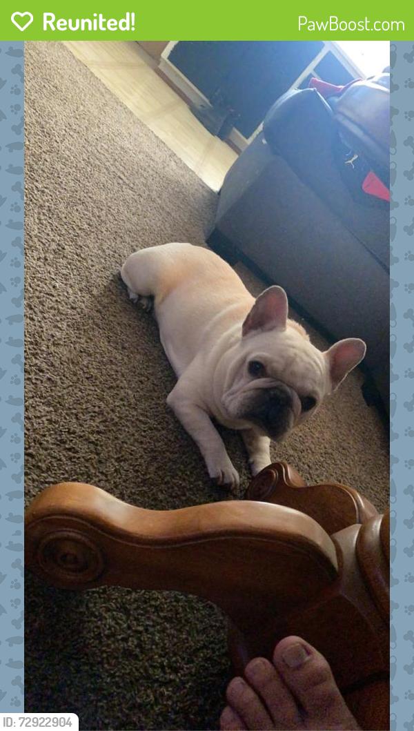 Reunited Male Dog last seen Coffee and floyd, Modesto, CA 95350