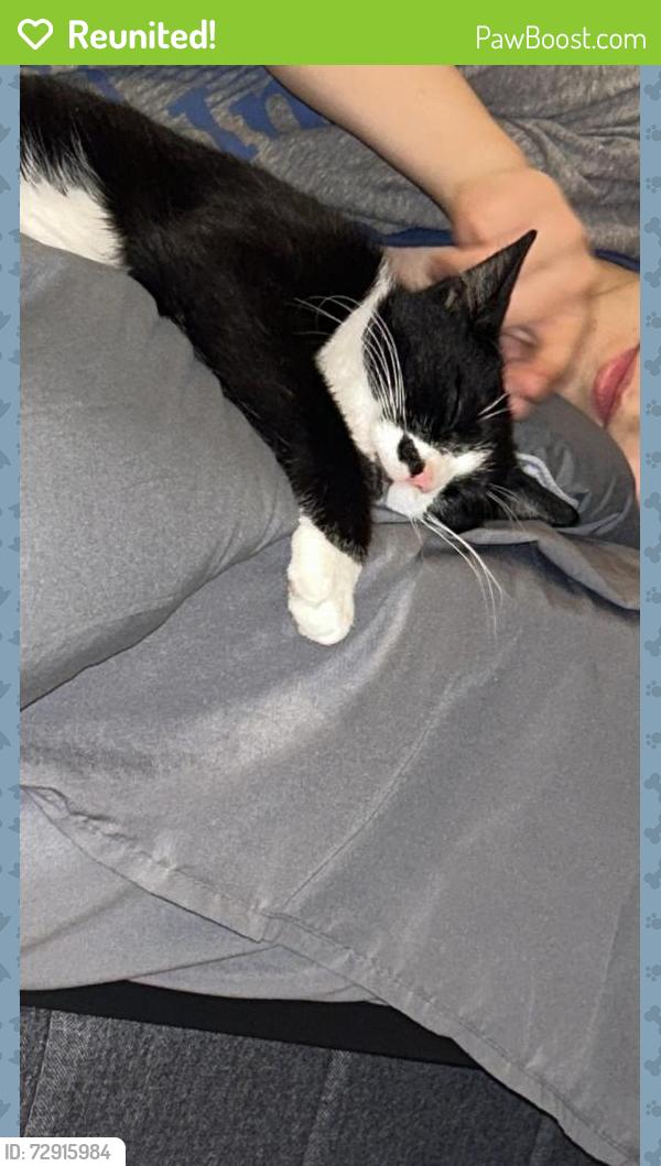 Reunited Female Cat last seen  Westbury Dr and Old Otterdale rd, Midlothian, VA 23114