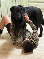 Reunited Female Dog last seen East Trap Pond Rd, Whaleys corner Rd, Georgetown, DE 19947