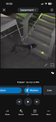 Found/Stray Female Dog last seen Hood rd , Fayetteville, GA 30214