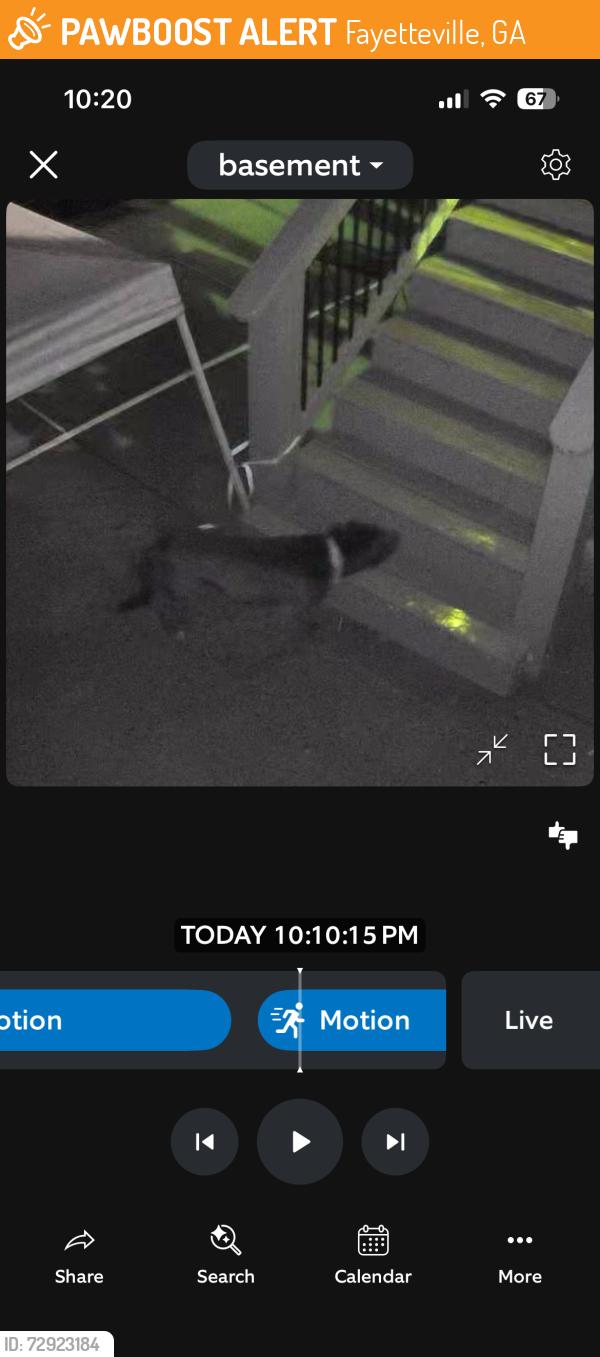 Found/Stray Female Dog last seen Hood rd , Fayetteville, GA 30214
