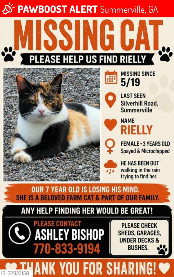 Lost Female Cat last seen Silverhill rd and Ben Mosley closer to hwy 27., Summerville, GA 30747