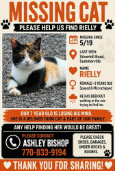Lost Female Cat last seen Silverhill rd and Ben Mosley closer to hwy 27., Summerville, GA 30747