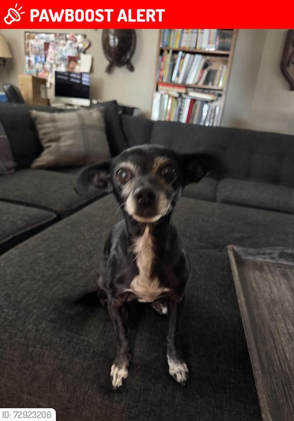 Lost Female Dog last seen 19th and carnelian, Rancho Cucamonga, CA 91701