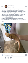 Found/Stray Unknown Reptile last seen Neptune Dr ft Collins co, Fort Collins, CO 80525