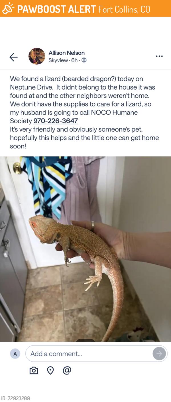 Found/Stray Unknown Reptile last seen Neptune Dr ft Collins co, Fort Collins, CO 80525
