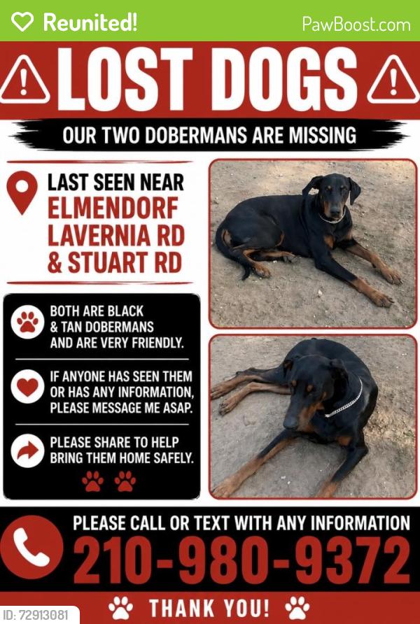 Reunited Male Dog last seen Elmendorf Lavernia Rd, San Antonio, TX 78223, USA, San Antonio, TX 78223