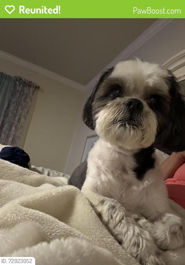 Reunited Male Dog last seen Stonehedge , Birmingham, AL 35235