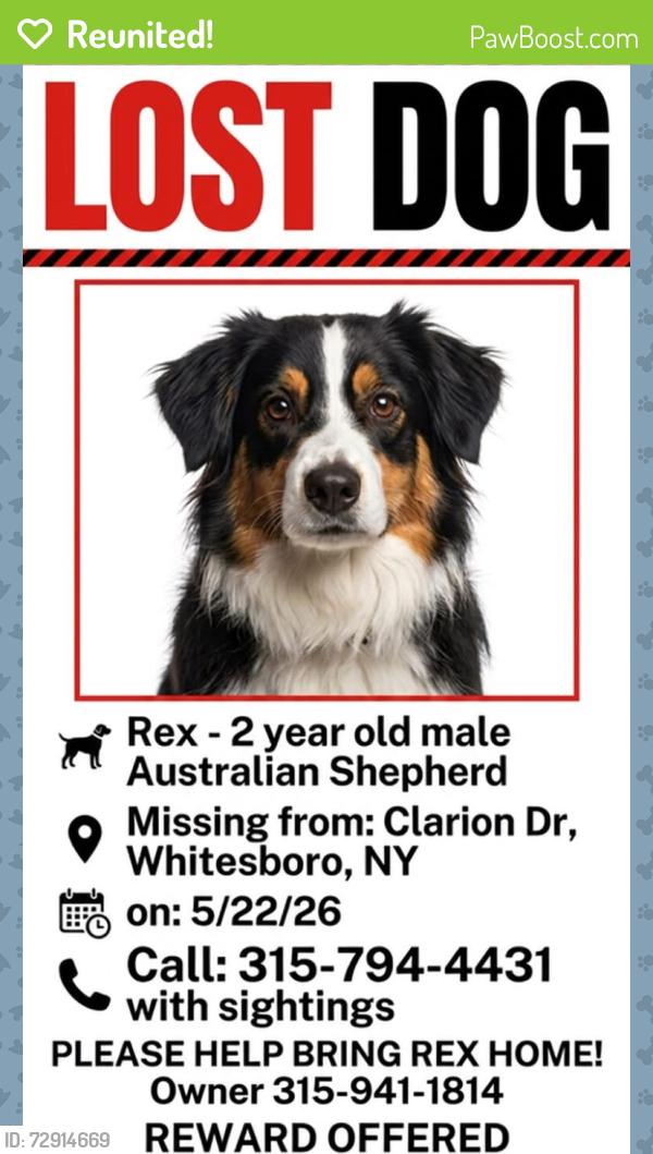 Reunited Male Dog last seen Clarion Dr. Whitesboro, NY, Whitestown, NY 13492