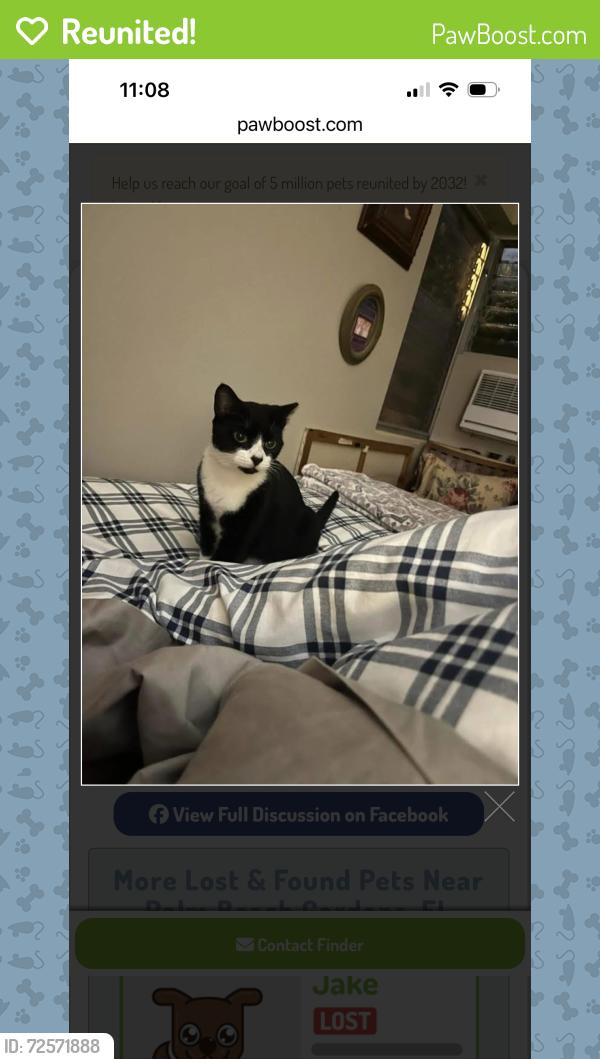 Reunited Female Cat last seen Jog Rd, Lantana Road , Greenacres, FL 33467