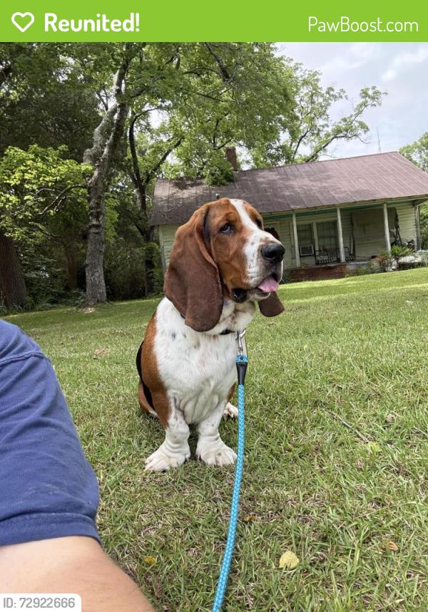 Reunited Male Dog last seen Found near Windsong Drive - Cameron, NC, Cameron, NC 28326