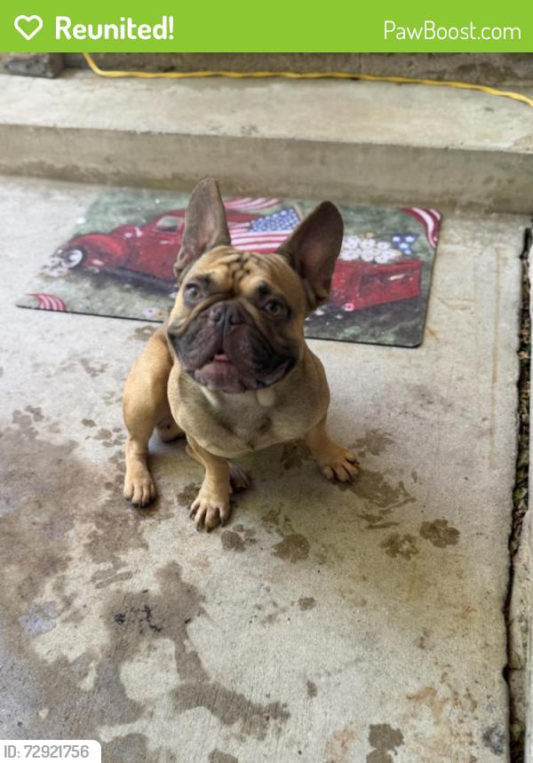 Reunited Male Dog last seen Seneca and 29th, Wichita, KS 67217
