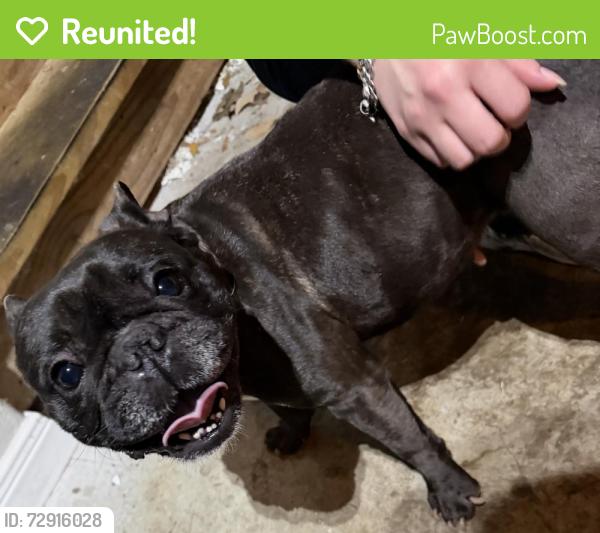 Reunited Female Dog last seen In the culdesac at the end of the street, San Antonio, TX 78245
