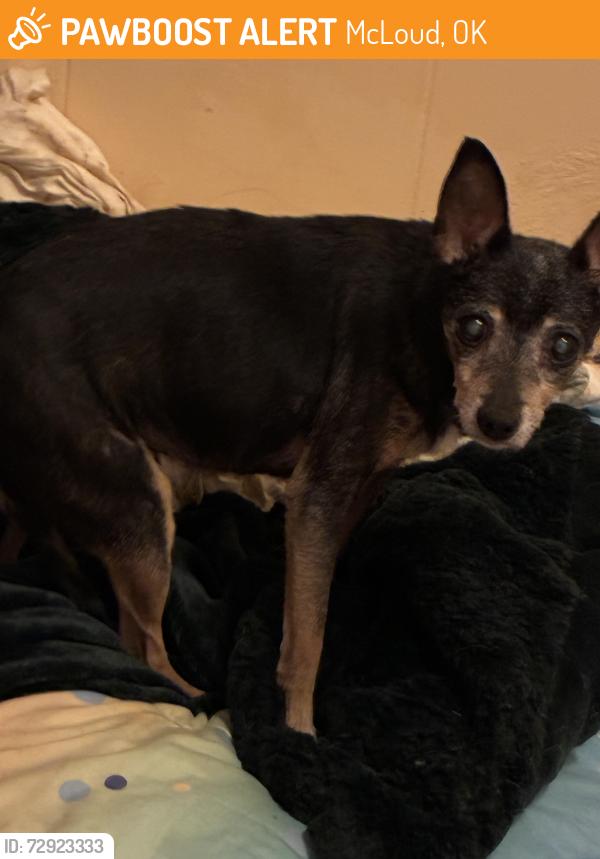 Found/Stray Male Dog last seen Blackberry Ridge , McLoud, OK 74851