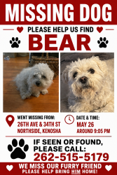 Reunited Male Dog last seen 34th St. and 26th Ave, Kenosha, WI 53140