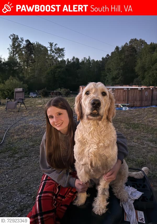 Lost Male Dog last seen front yard , South Hill, VA 23970