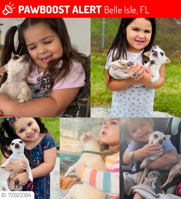 Lost Female Dog last seen Lancaster and Oakridge (Dumont st), Belle Isle, FL 32809
