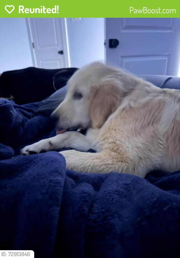 Reunited Female Dog last seen Hampton rd , Mobile, AL 36608