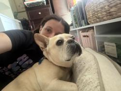 Reunited Female Dog last seen Sonoma and Redwood St Vallejo, Vallejo, CA 94590