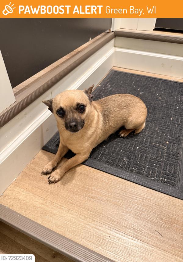 Found/Stray Male Dog last seen Desnoyers st , Green Bay, WI 54303
