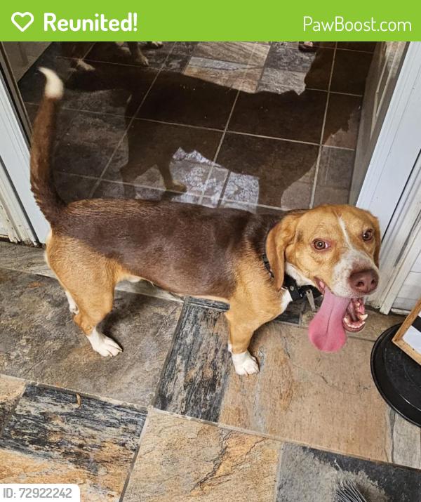 Reunited Unknown Dog last seen Jodeco, McDonough, GA 30253