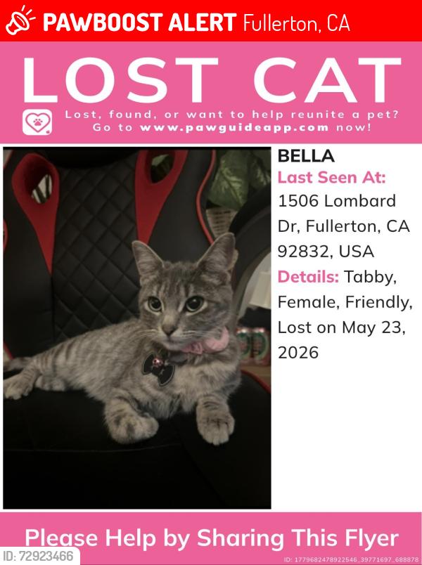 Lost Female Cat last seen W Roberta Ave and S Lombard Dr, Fullerton, CA 92832