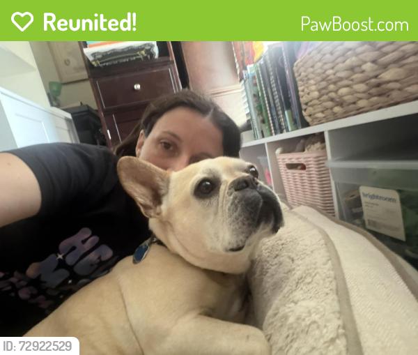 Reunited Female Dog last seen Sonoma and Redwood St Vallejo, Vallejo, CA 94590