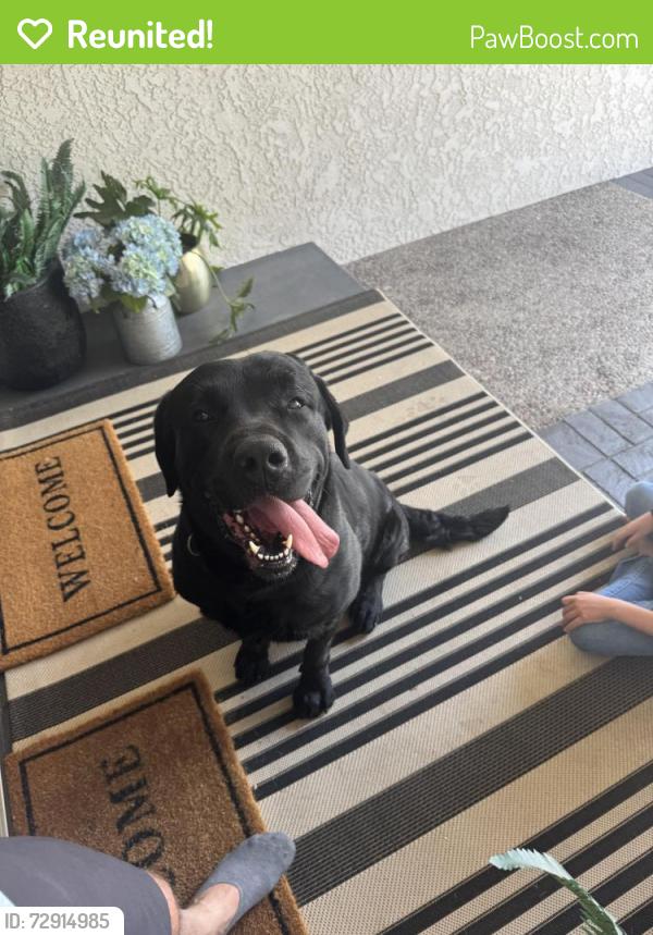Reunited Male Dog last seen Haven Ave and Vista Grove, Rancho Cucamonga, CA 91737