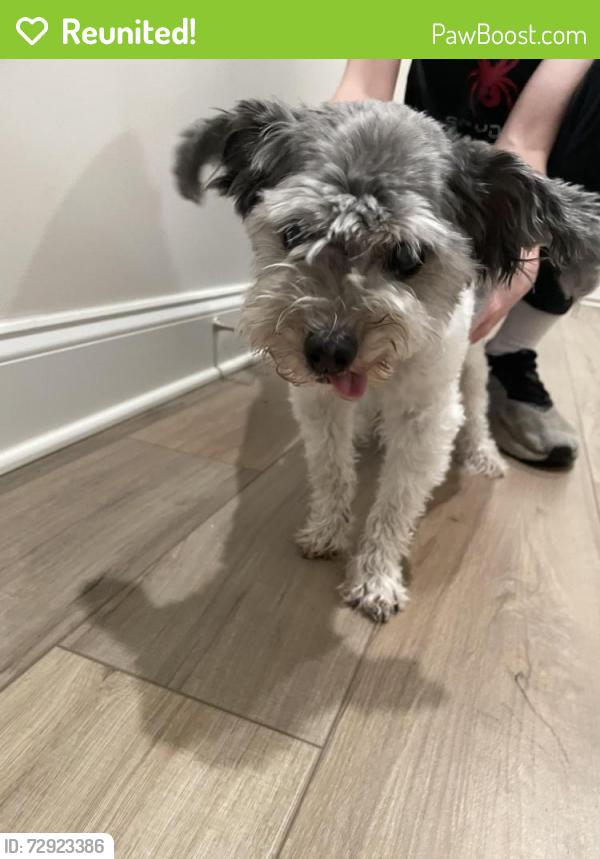 Reunited Unknown Dog last seen Seaton Way, River Rd, Columbia, TN 38401