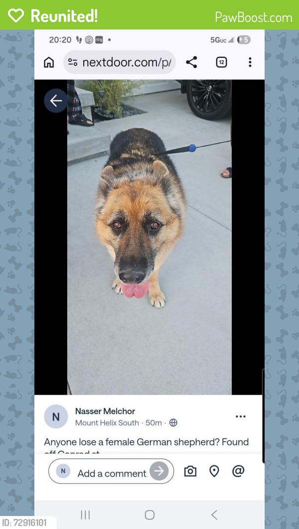 Reunited Female Dog last seen Edgar pl, Spring Valley, CA 91941