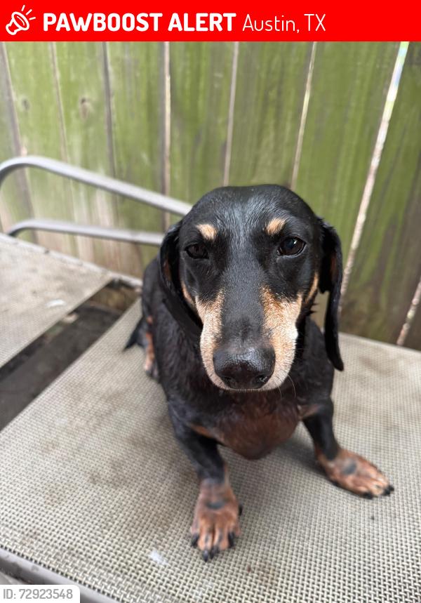 Lost Male Dog last seen Near Shropshire blvd, Austin, TX 78753
