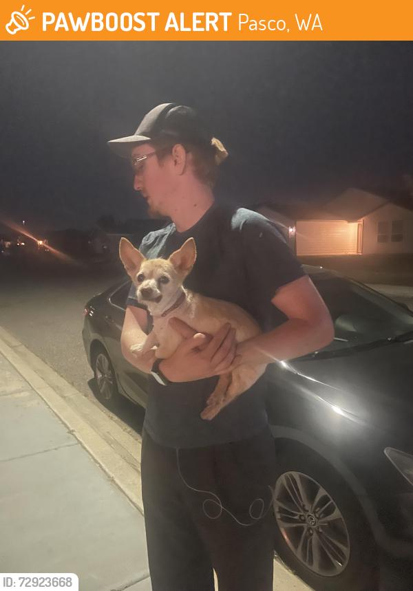 Found/Stray Unknown Dog last seen Arthur and Wrigley , Pasco, WA 99301