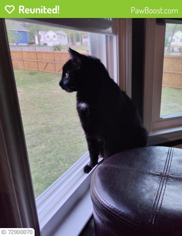 Reunited Male Cat last seen Collins Dr, Douglasville, GA, Paulding County, GA 30134