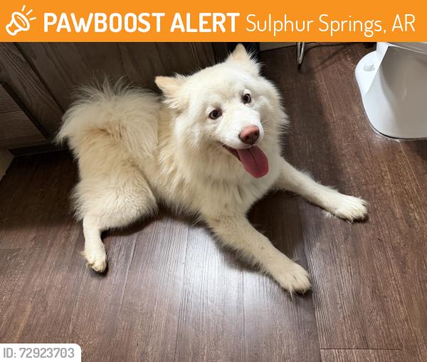 Found/Stray Male Dog last seen Unsure, Sulphur Springs, AR 64854